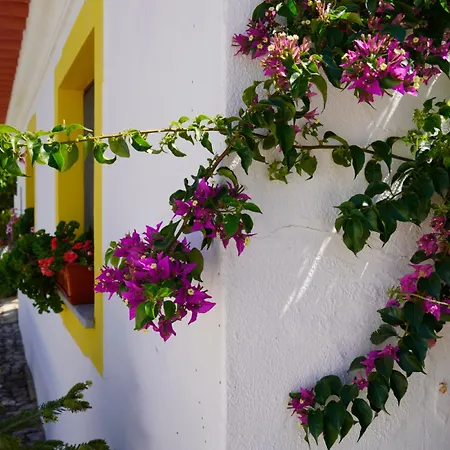 Casa Ferrobo Apartment São Brás de Alportel
