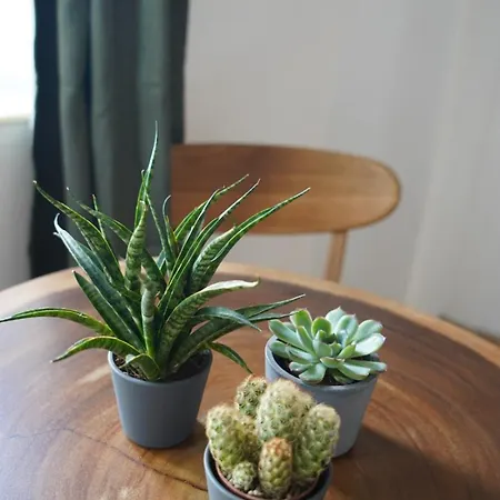 Apartmán Casa Ferrobo